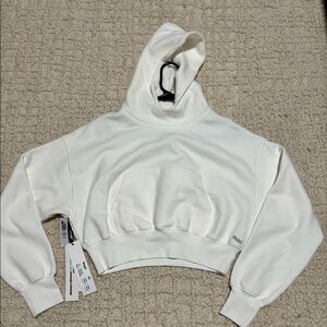 Aritzia crop hoodie